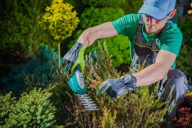 landscaping services Belle Terre